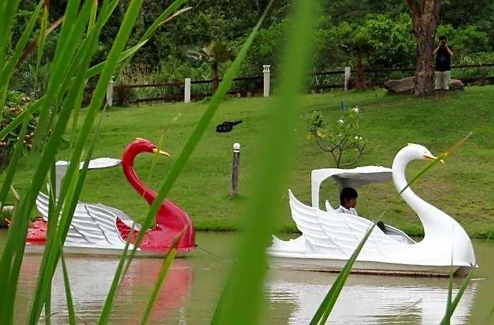 The Banyan Leaf 3*